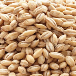 Rolled oats 200gr